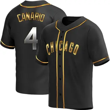 Alexander Canario Youth Chicago Cubs Replica Alternate Jersey - Black Golden