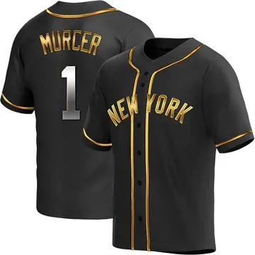 Bobby Murcer Youth New York Yankees Replica Alternate Jersey - Black Golden