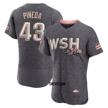 Israel Pineda Men's Washington Nationals Authentic 2022 City Connect Jersey - Gray